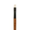 Coupon π Level 1 Oil Short Handle Bright Brush by Artist's Loft™ by Artists Loft π₯° 2 Coupon π Level 1 Oil Short Handle Bright Brush by Artist's Loft™ by Artists Loft π₯° -Artists Loft Sales 10598702 2