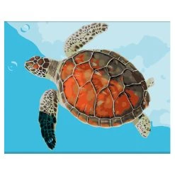 Best deal ❤️ Sea Turtle Paint-by-Number Kit by Artist's Loft™ Necessities™ by Artists Loft ⭐ -Artists Loft Sales 10624467 5
