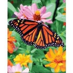 Best Pirce 🔔 Butterfly Paint-by-Number Kit by Artist's Loft™ Necessities™ by Artists Loft 🔥 -Artists Loft Sales 10624580 5