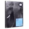 Coupon π Elephant Hardcover Sketchbook by Artist's Loft®, 6" x 8" by Artists Loft π€© 1 Coupon π Elephant Hardcover Sketchbook by Artist's Loft®, 6" x 8" by Artists Loft π€© -Artists Loft Sales 10627679 1